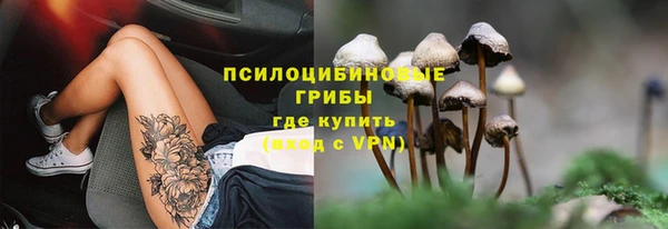 бошки Медвежьегорск