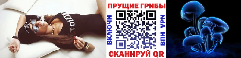 наркота  Ясный  площадка телеграм  Псилоцибиновые грибы прущие грибы 